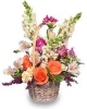 Buy Cheap Flowers Flower Stores UK England